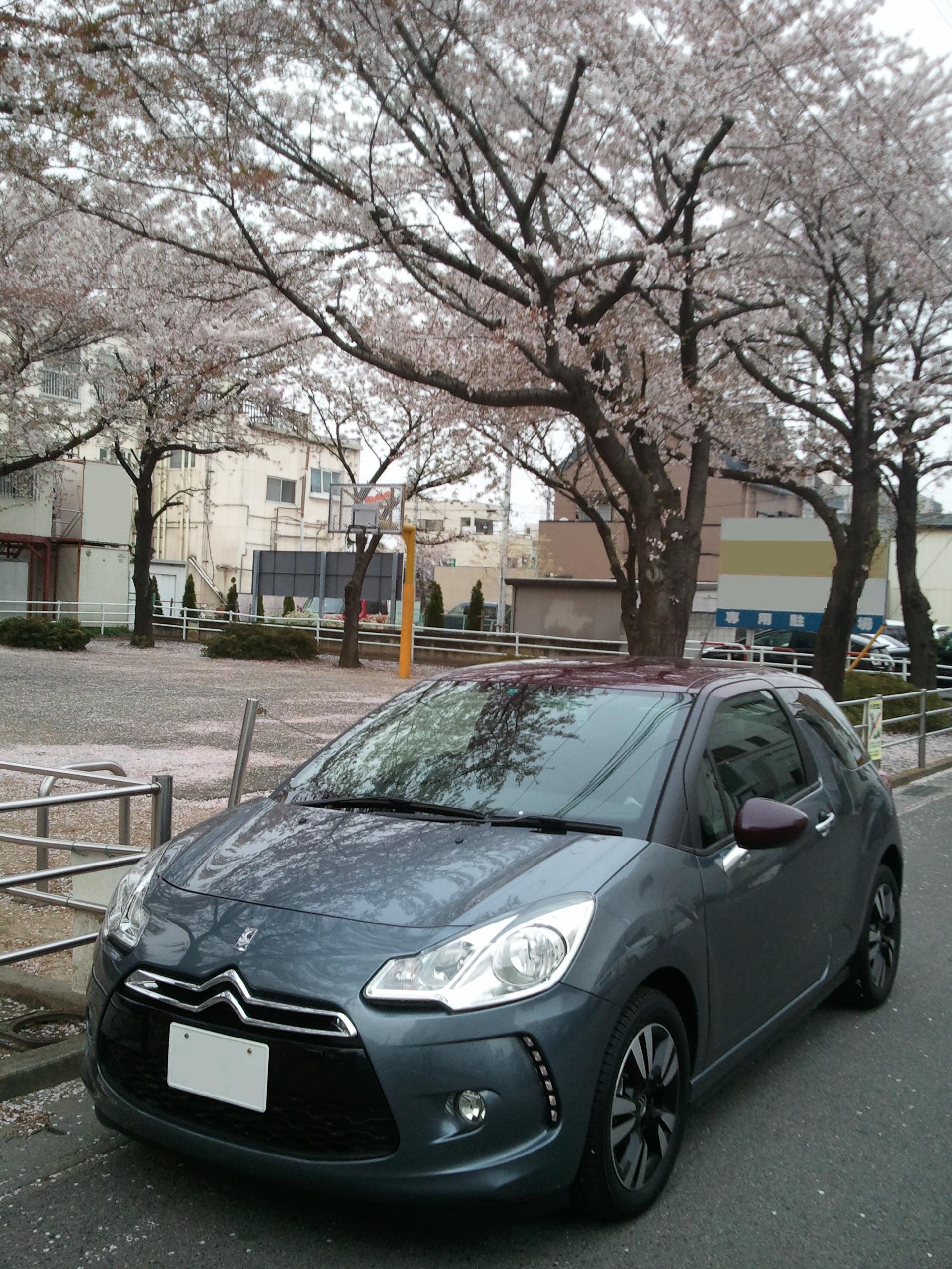 近隣の公園より♪