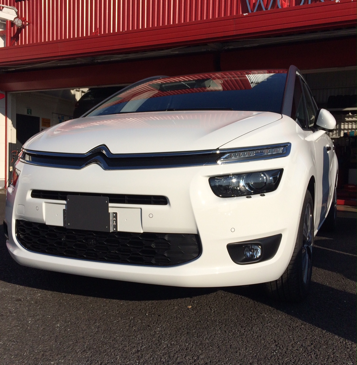 今日は・・・☆彡