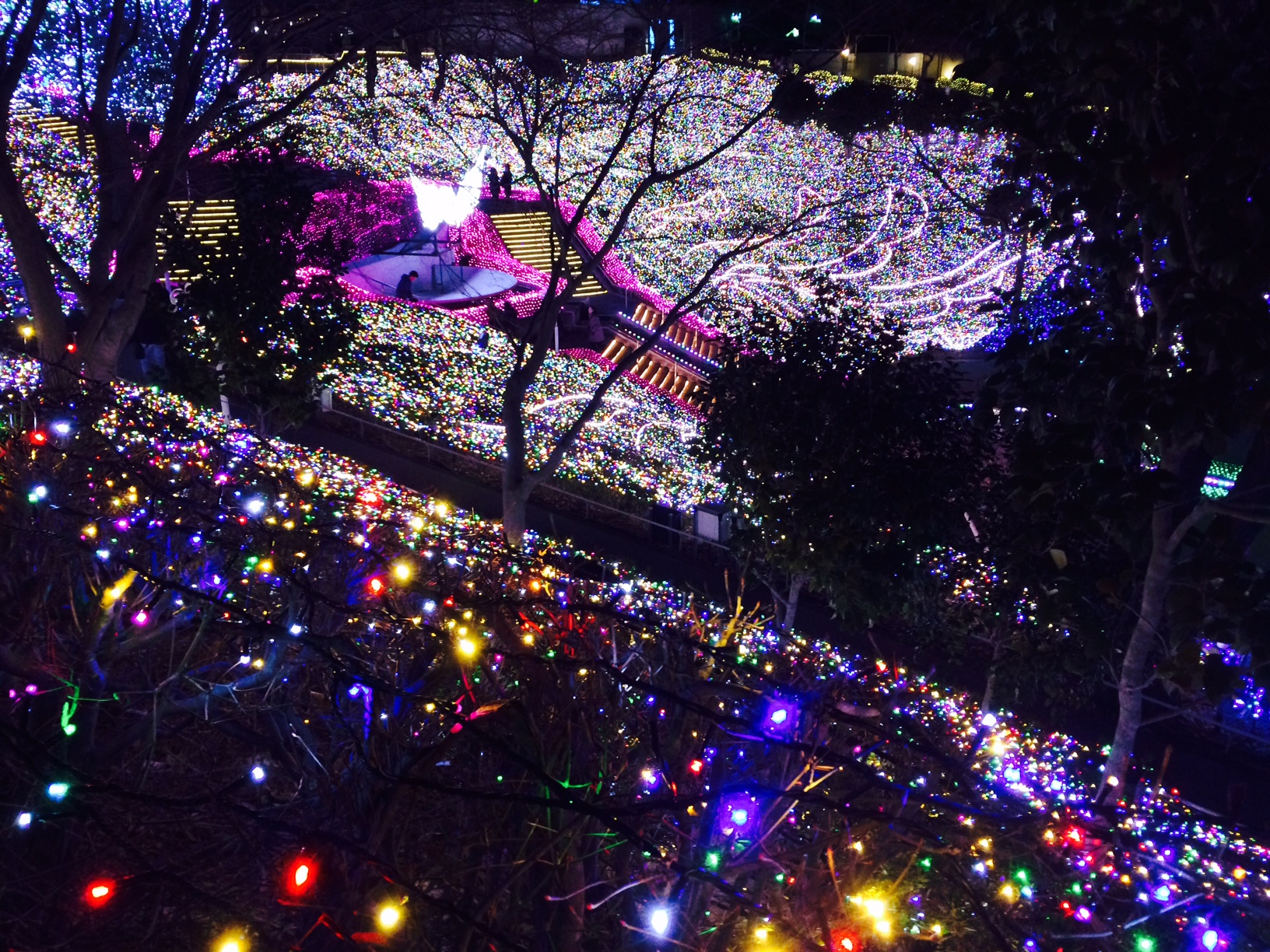 今日は・・・☆彡