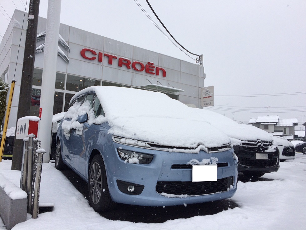 シトロエンも雪化粧です