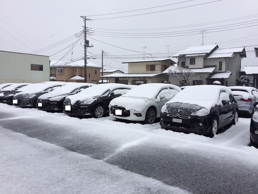 シトロエンも雪化粧です