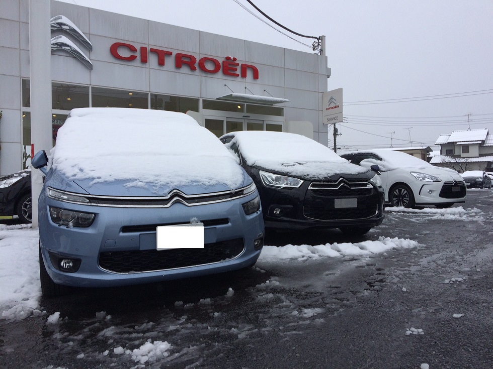 シトロエンも雪化粧です