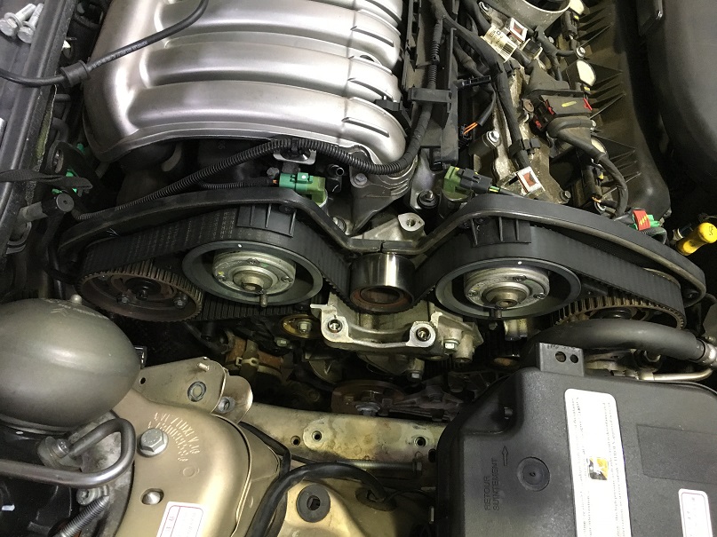 長生きして欲しいです。。。