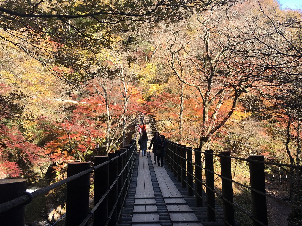 あっという間に。