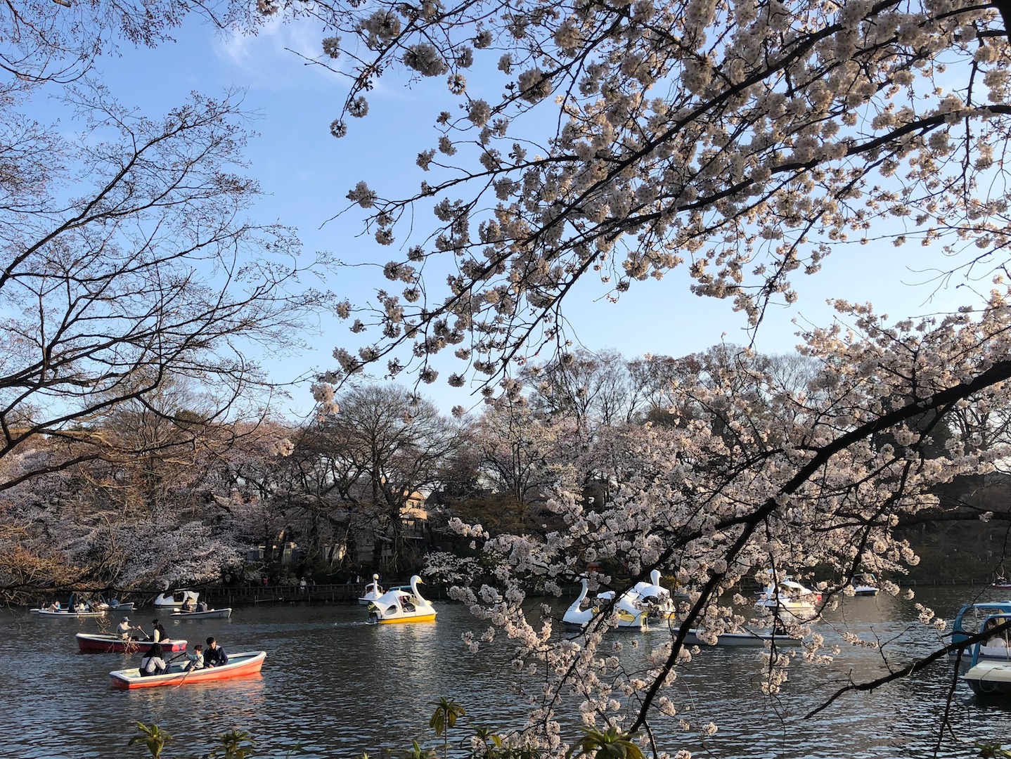 久々に出かけました