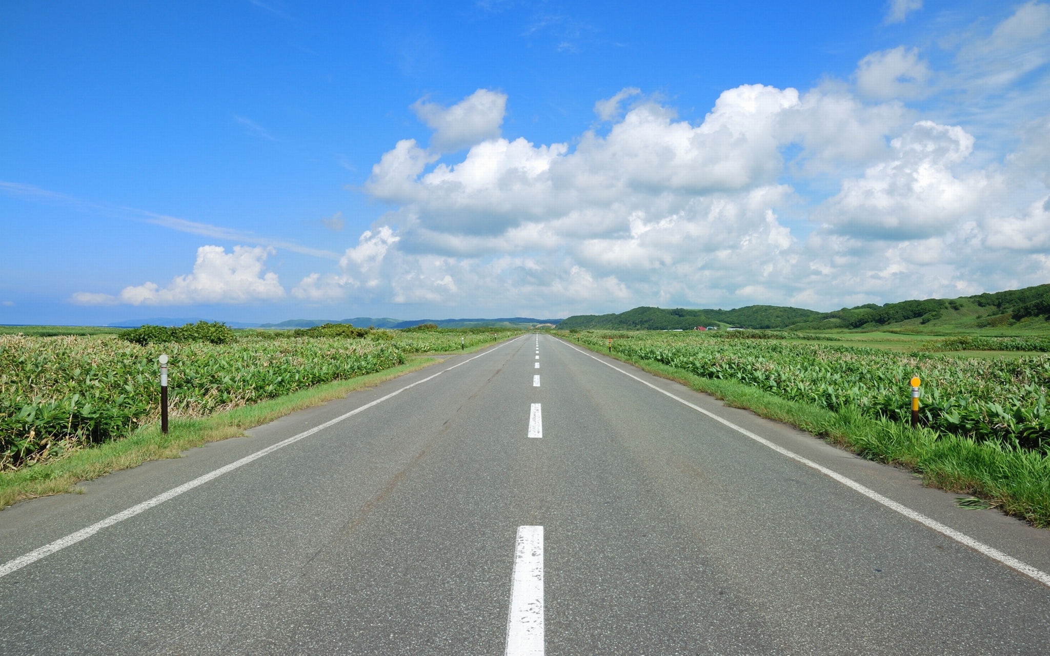 北海道の長い道