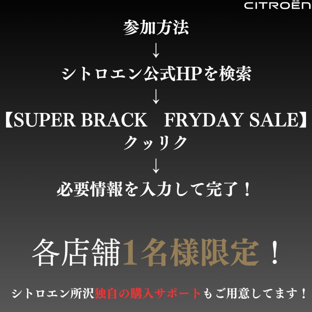 遂に！今年最大のBRACK FRY DAY SALE!