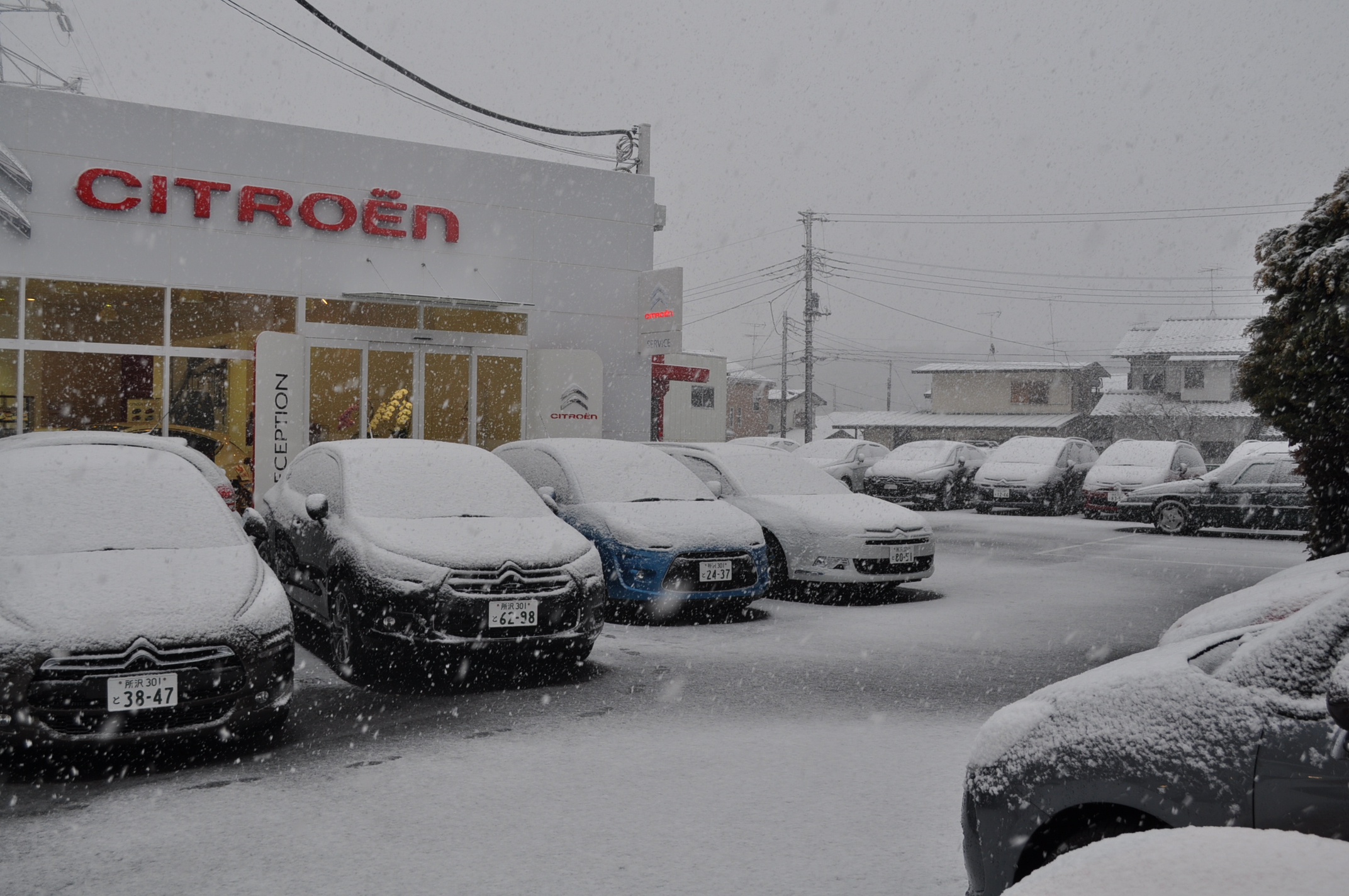 雪