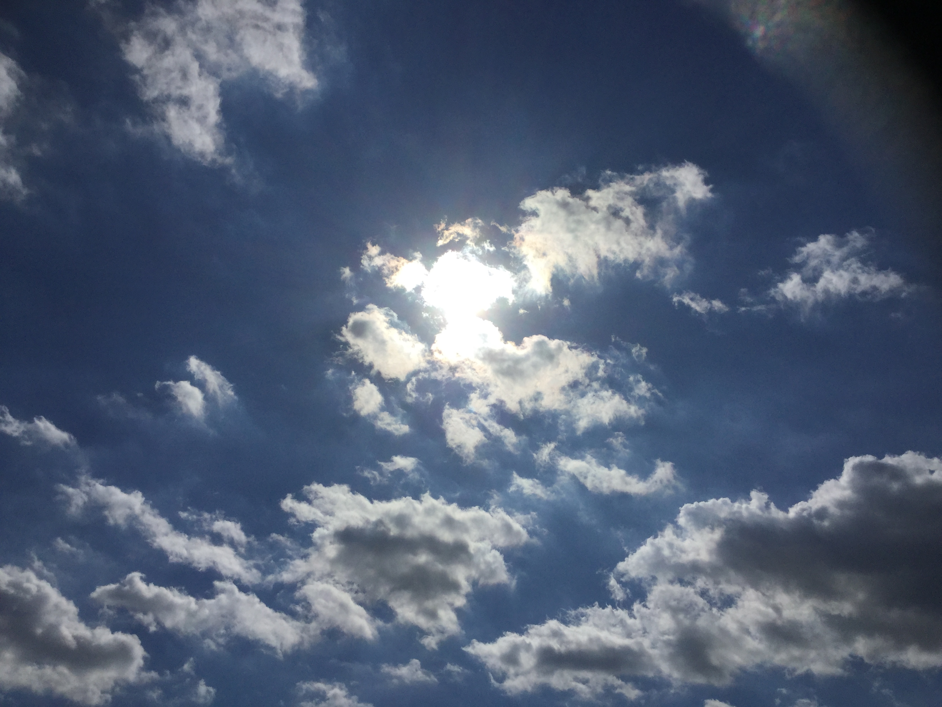 梅雨明け、そして。