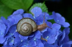 梅雨も気持ちよく