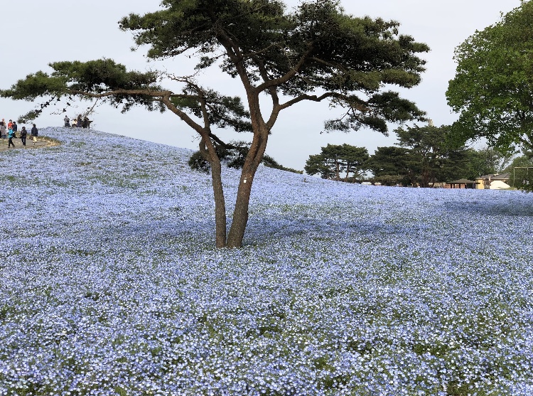 風の強い日に