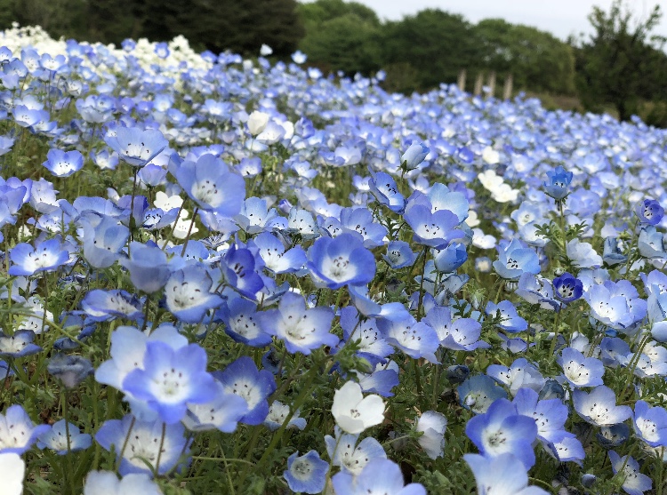 風の強い日に