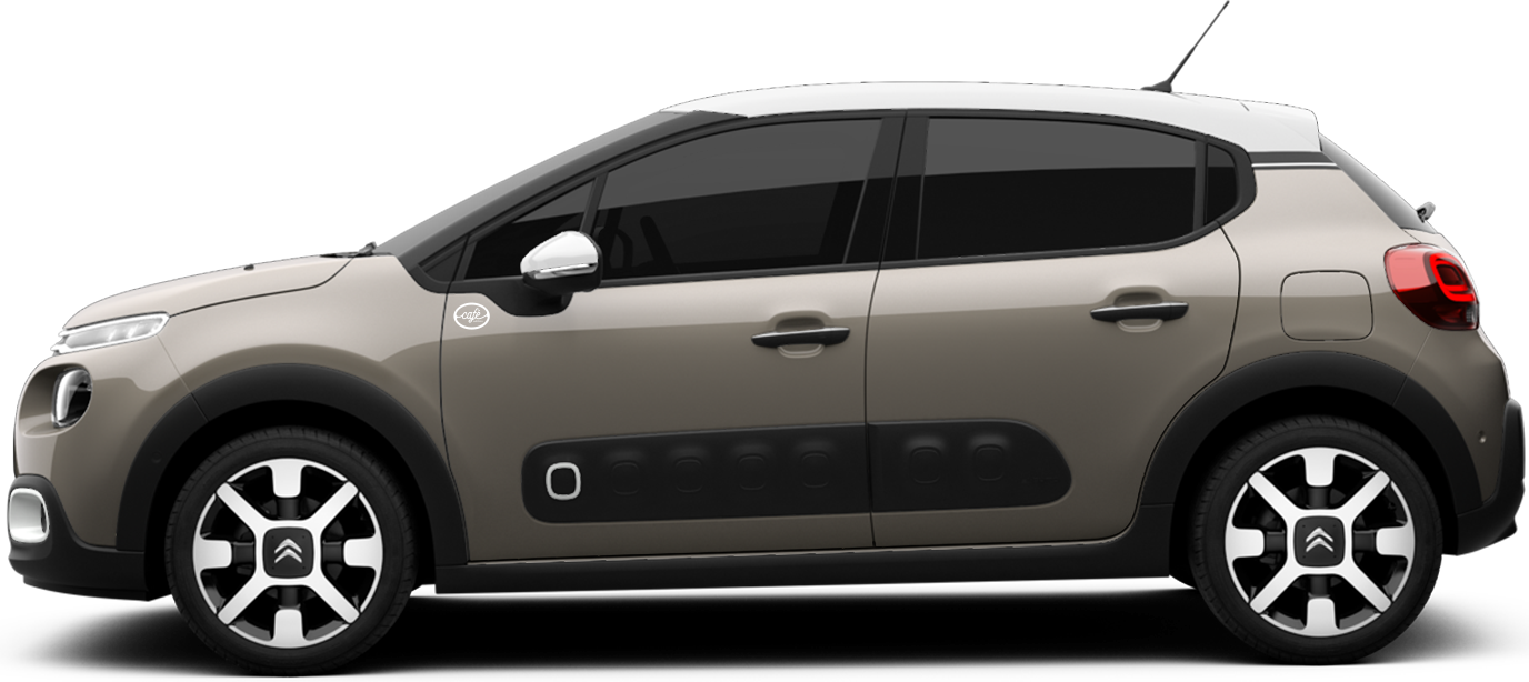特別仕様車登場