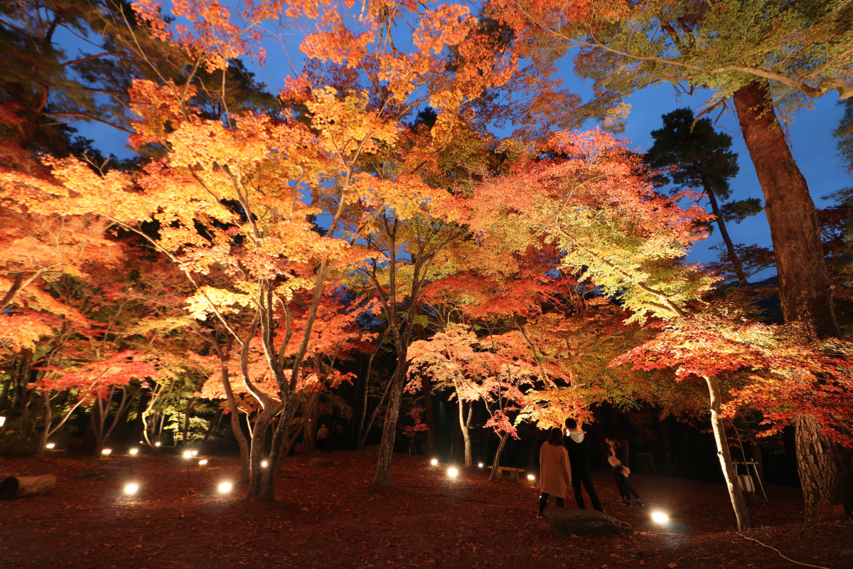 間も無く紅葉シーズン