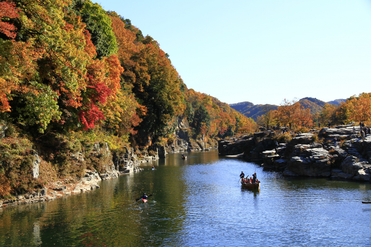 間も無く紅葉シーズン