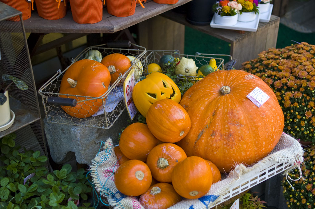 10月31日はハロウィン！