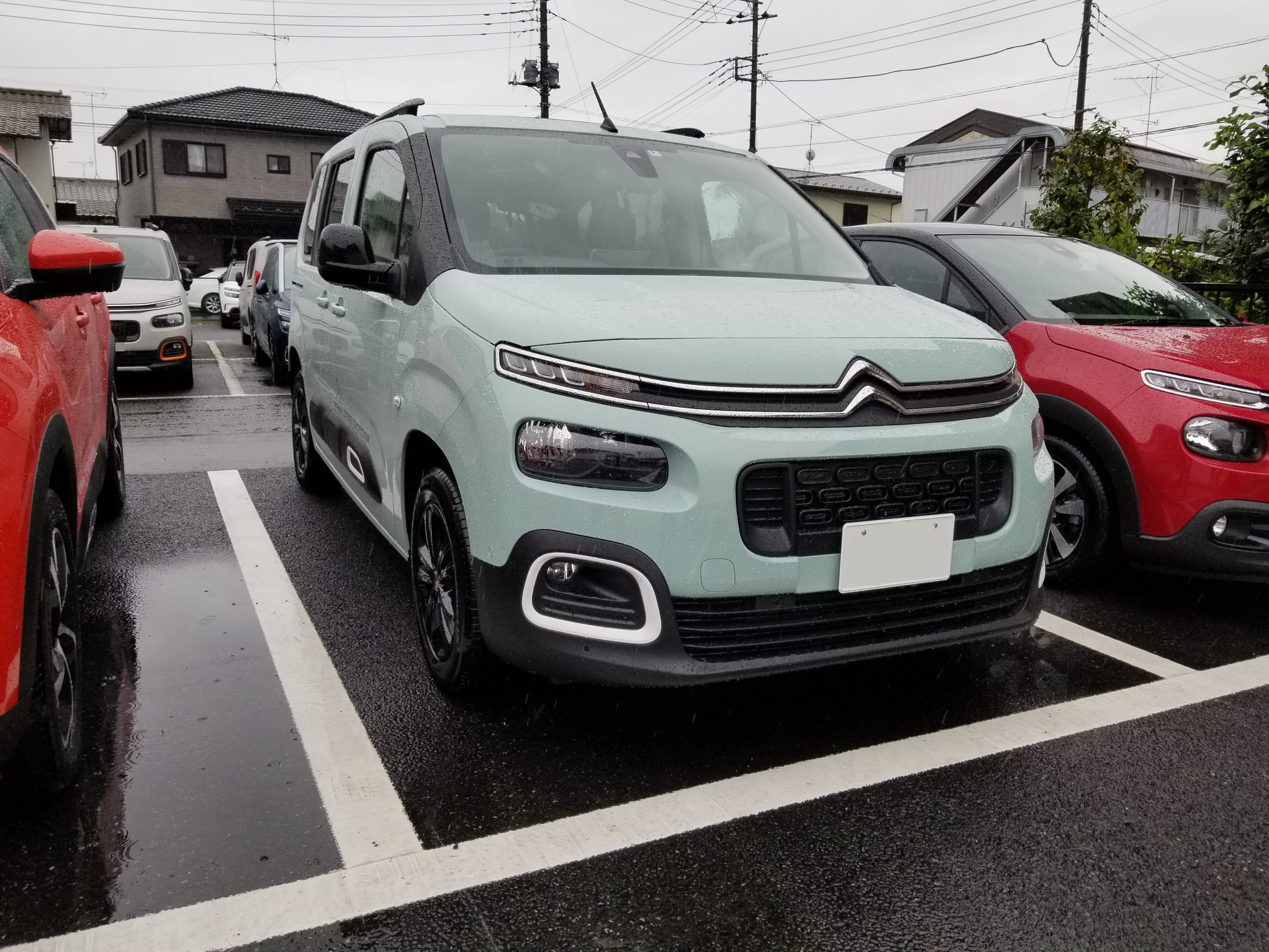ベルランゴ、試乗やってます！