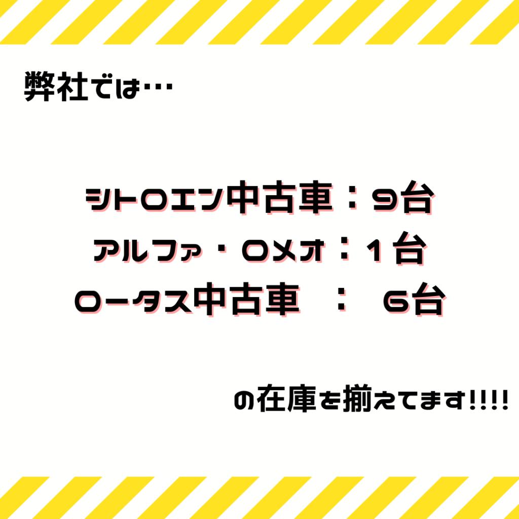 8月決算セール　！！！！