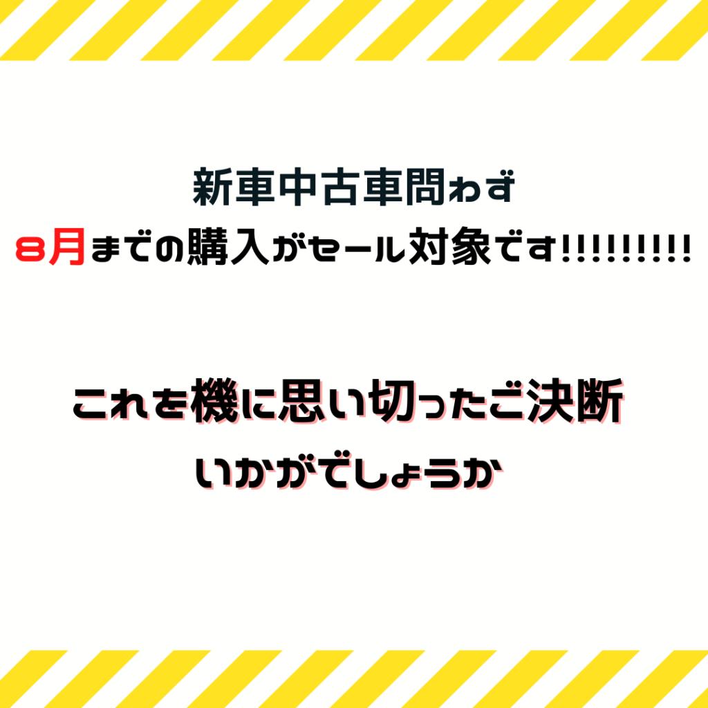 8月決算セール　！！！！