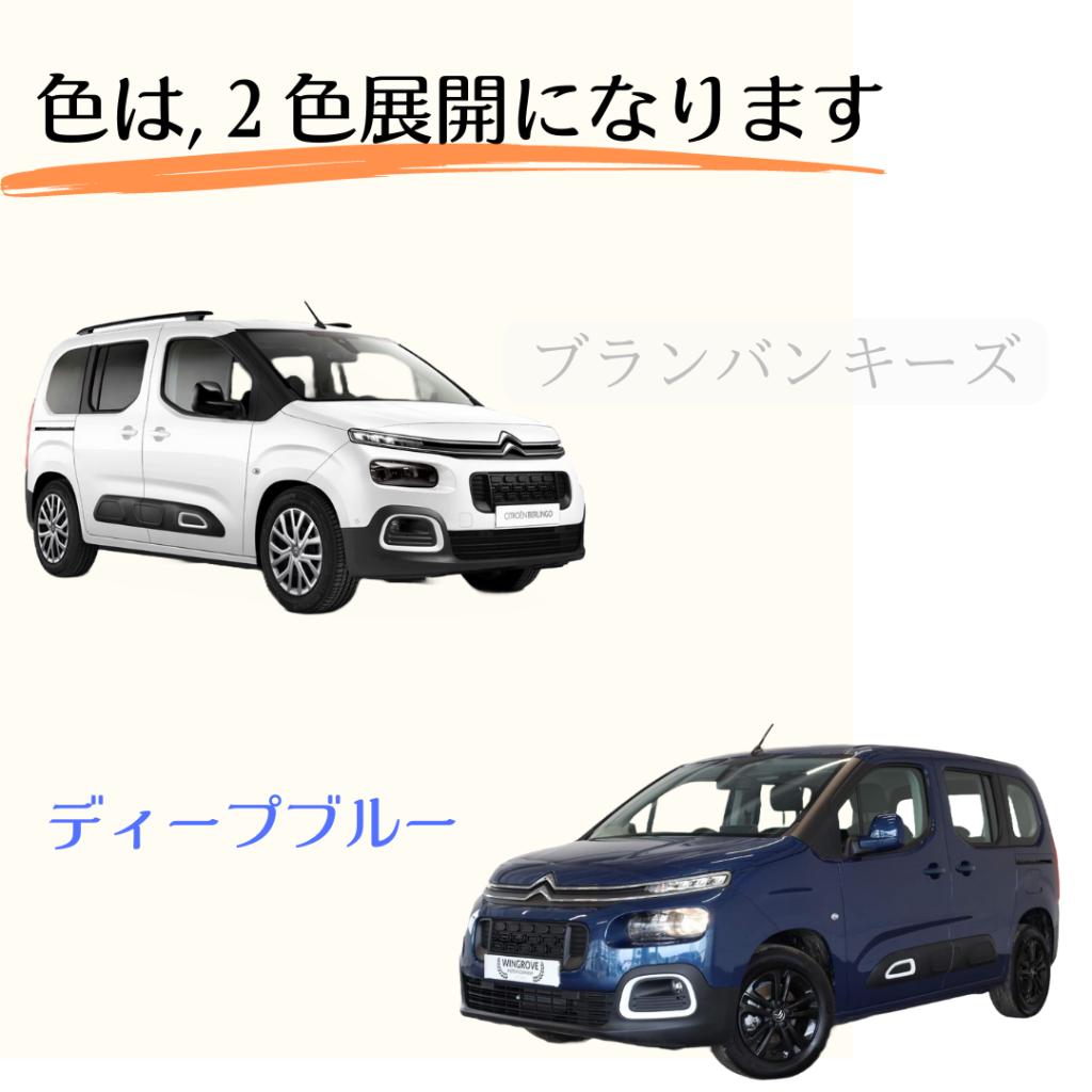 BELRINGOのお色につきましてお知らせです！！！！