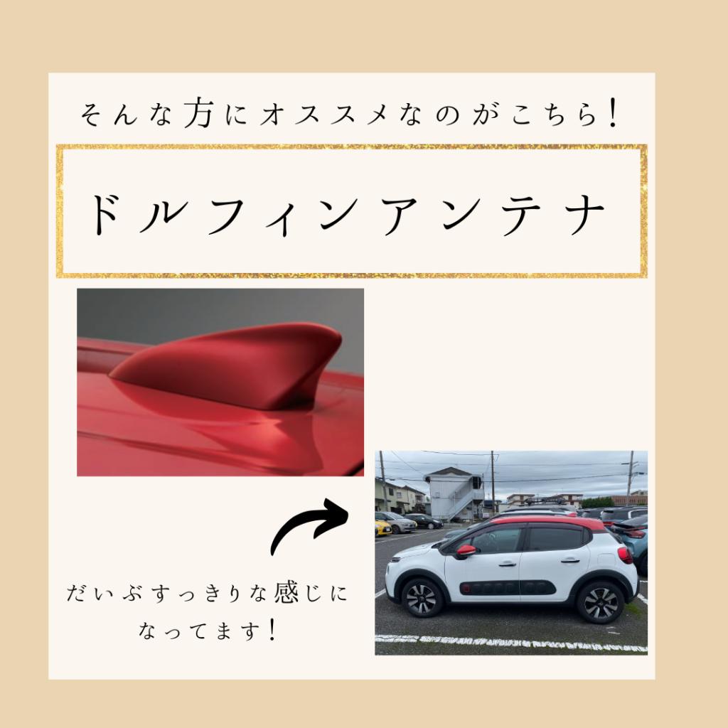 C3がさらに可愛くなります！